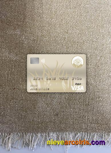 Central African republic bank of central african states (beac) bank visa debit card photolook